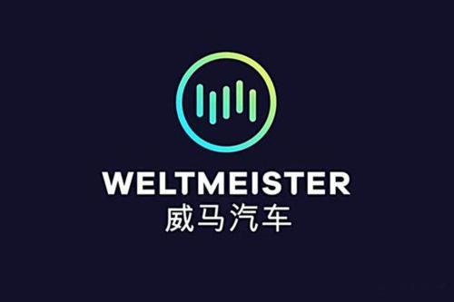 汽车的LOGO是否会影响购车欲望？