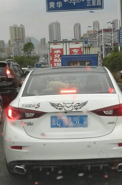 厉害了！汽车标志新玩法，柳市街头偶遇马自达变身“猫头鹰 ”