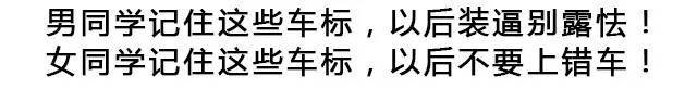 看明白这20个车标，让男人学会装B，女人不再上错车！